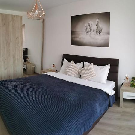 Marimonti Apartment Braşov Dış mekan fotoğraf