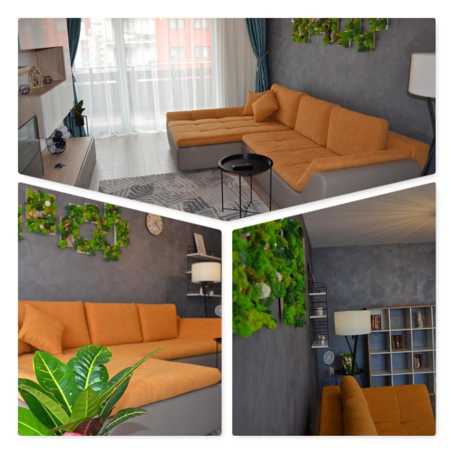 Marimonti Apartment Braşov Dış mekan fotoğraf