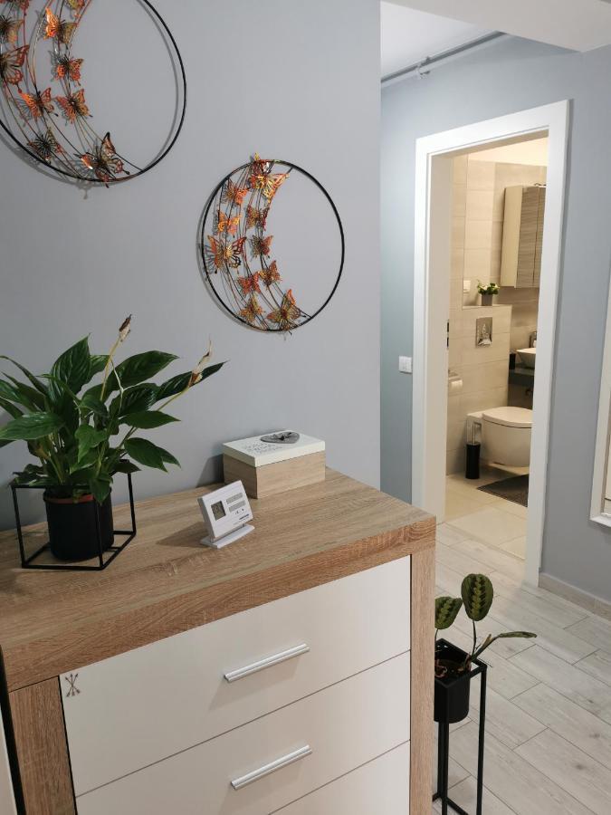 Marimonti Apartment Braşov Dış mekan fotoğraf